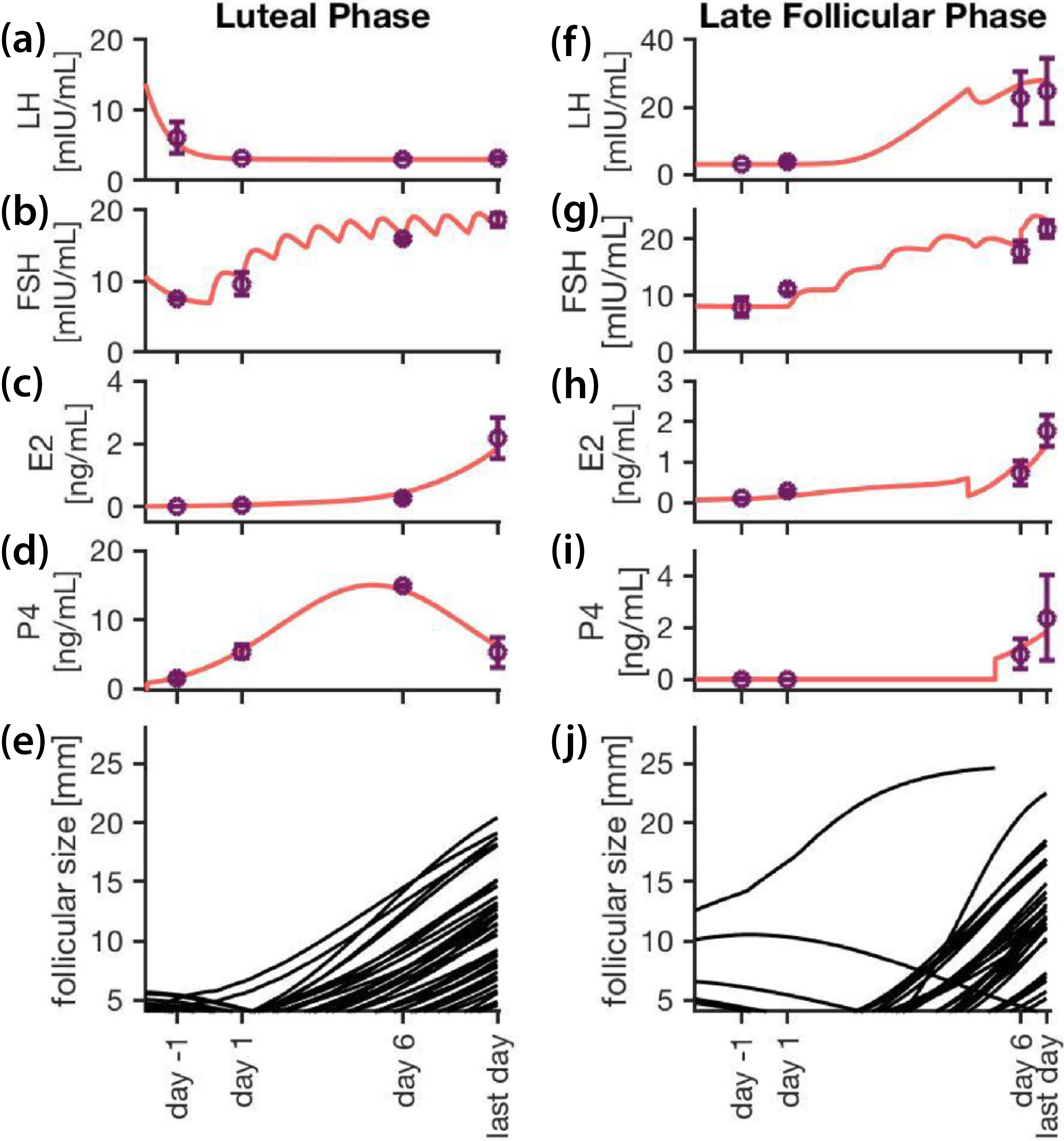 Investigating the Interplay Between Reproductive Hormones and Ovarian ...