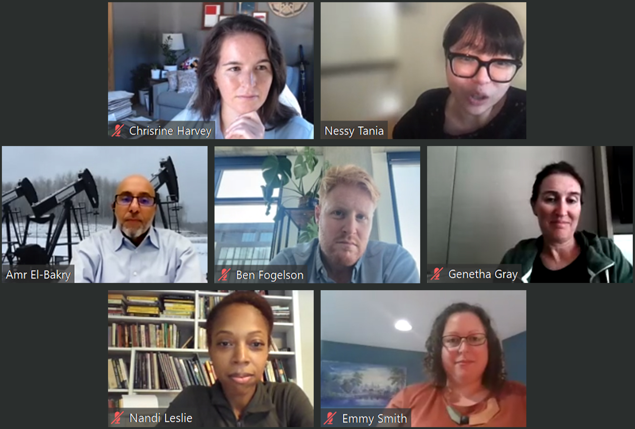 The SIAM Industry Committee sponsored a virtual career panel this August that explored career opportunities in data science and machine learning for applied mathematicians and computational scientists outside the realm of academia. Top row, left to right: moderators Christine Harvey (Mitre Corporation) and Nessy Tania (Pfizer). Middle row, left to right: Amr El-Bakry (Exxon), Ben Fogelson (Recursion Pharmaceuticals), and Genetha Gray (Edward Jones). Bottom row, left to right: Nandi Leslie (Raytheon) and Emmy Smith (Amazon).