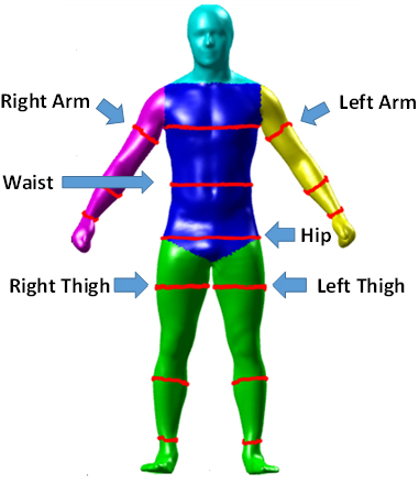 &lt;strong&gt;Figure 1.&lt;/strong&gt; Avatar of a person that represents different measurements, which are fed into an algorithm and used to predict appendicular lean mass (ALM), bone mineral density (BMD), and body fat percentage (BFP). Figure courtesy of Nadejda Drenska.