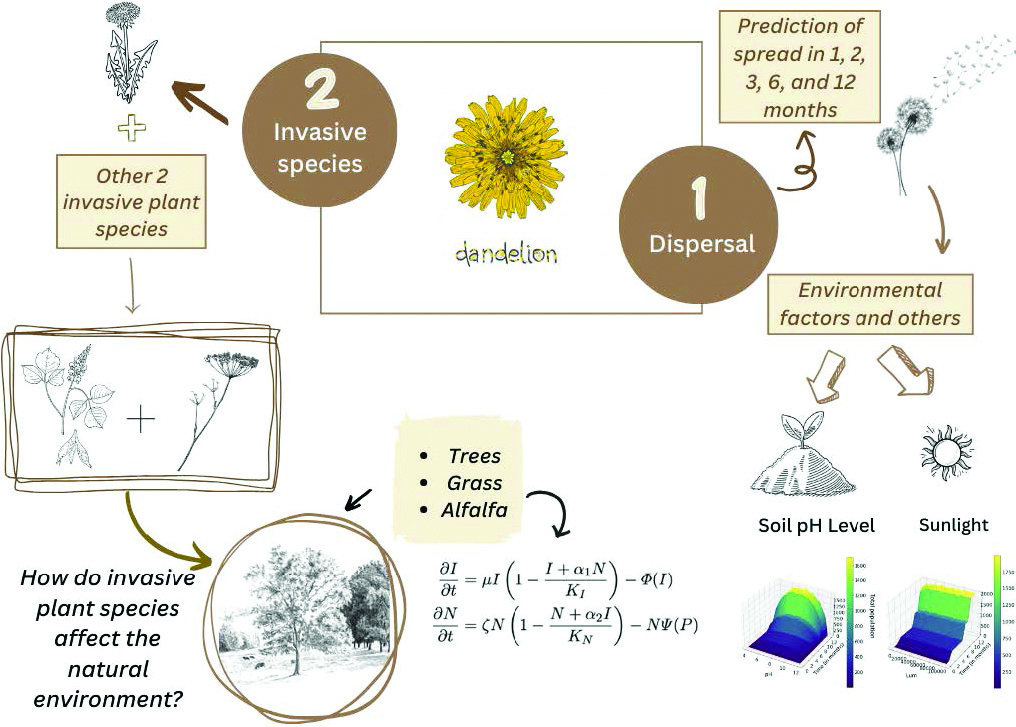 &lt;strong&gt;Figure 1.&lt;/strong&gt; During the 2023 iteration of the High School Mathematical Contest in Modeling (HiMCM), which took place in November, one problem prompted students to predict the spread of dandelions while accounting for numerous influencing factors. Figure courtesy of HiMCM Team 13845 from BASIS International School Guangzhou.