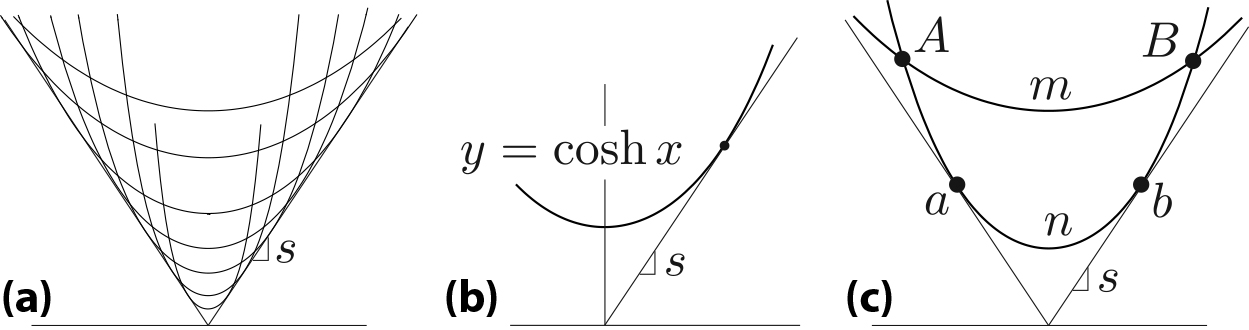 &lt;strong&gt;Figure 3. 3a.&lt;/strong&gt; Graphs of \((6)\) fill the sector. &lt;strong&gt;3b.&lt;/strong&gt; The definition of slope \(s=\min_{x&gt;0}x ^{-1} \cosh x=1.996...\) &lt;strong&gt;3c.&lt;/strong&gt; Points \(A\) and \(B\) satisfy \(r/a&gt;s\) and two possible shapes exist for the soap film, but only \(AmB\) is stable and physically observable. Both curves \(AnB\) and \(AmB\) are geodesics in the metric \(y \,ds\), but only \(AnB\) has a conjugate pair of points \(a\) and \(b\). As such, it cannot be minimal; in fact, its Morse index is \(1\) [1]. In contrast, \(AmB\) has no conjugate points and is thus a minimizer of the “length” \(\int y\,ds\). The case of \(r/a=s\) is critical and unstable, as the two solutions coalesce into a saddle node of potential energy.
