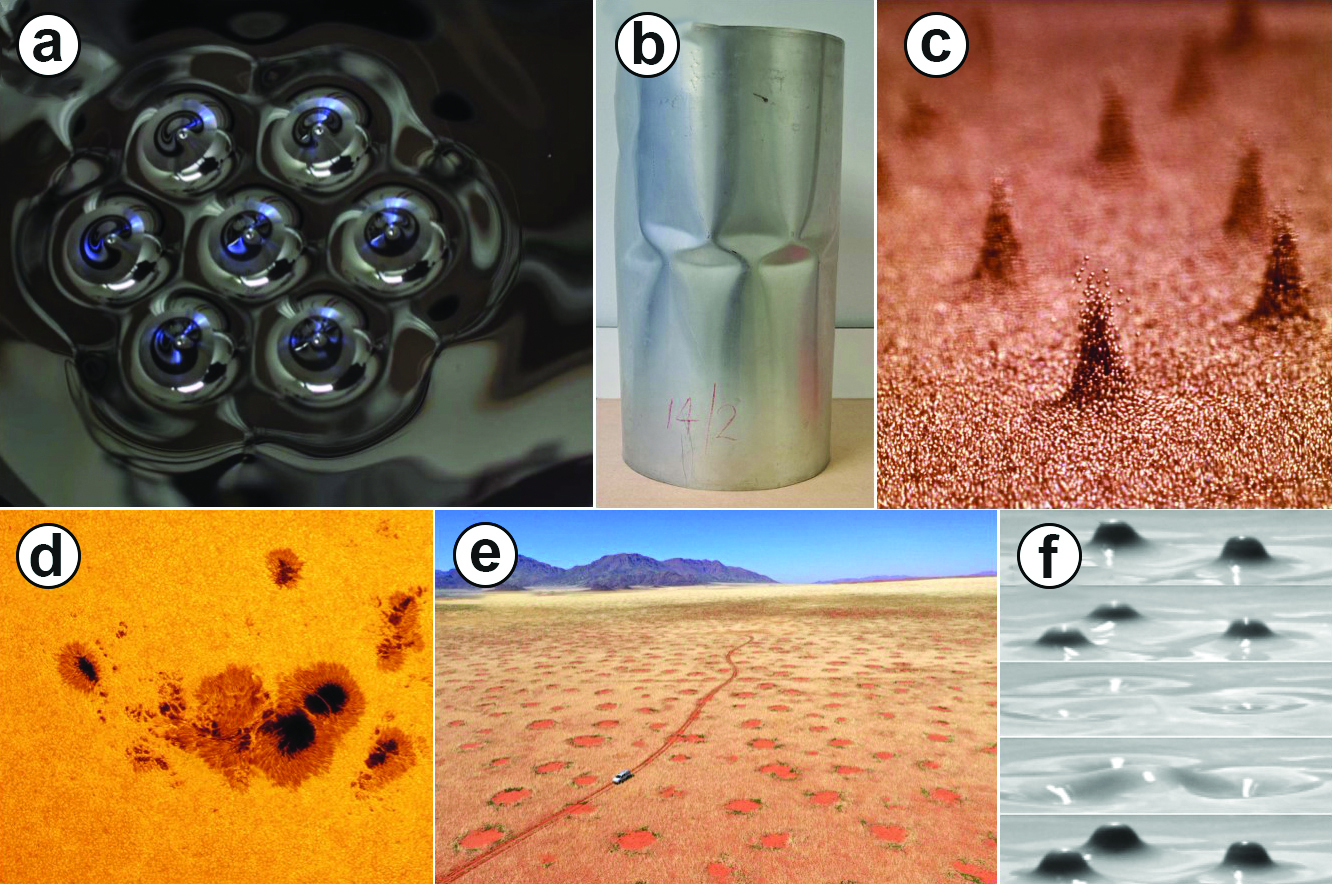 &lt;strong&gt;Figure 1.&lt;/strong&gt; Various localized patterns in different materials. &lt;strong&gt;1a.&lt;/strong&gt; A ferrofluid. &lt;strong&gt;1b.&lt;/strong&gt; A buckling cylinder. &lt;strong&gt;1c.&lt;/strong&gt; Vertically vibrating granular material. &lt;strong&gt;1d.&lt;/strong&gt; Sun spots. &lt;strong&gt;1e.&lt;/strong&gt; Vegetation patches in an arid area. &lt;strong&gt;1f.&lt;/strong&gt; Vertically vibrating fluid. Figure 1a courtesy of Achim Beetz, 1b courtesy of M. Ahmer Wadee, 1c courtesy of Paul Umbanhowar, 1d courtesy of NASA Goddard Space Flight Center, 1e courtesy of Stephan Getzin, and 1f courtesy of [4].