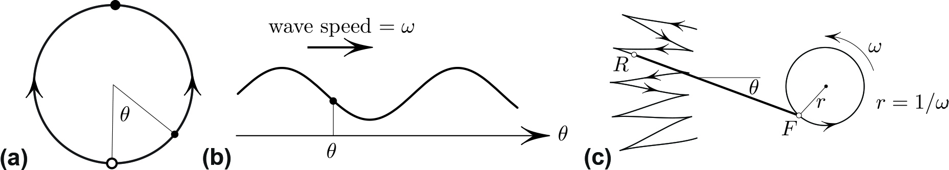 &lt;strong&gt;Figure 2.&lt;/strong&gt; Alternative interpretations of \((2)\). &lt;strong&gt;2a.&lt;/strong&gt; Equation \((1)\) gives the flow on the circle. &lt;strong&gt;2b.&lt;/strong&gt; Equation \((2)\) is the gradient descent flow of the sinusoidal potential \(V=\cos ( \theta - \omega t)\) that is sliding with speed \(\omega\). &lt;strong&gt;2c.&lt;/strong&gt; \(\theta\) is the angle between the “bike” \(RF\) and a fixed direction as the front \(F\) moves in a circle of radius \(\omega ^{-1}\) with angular velocity \(\omega\). Each zigzag of \(R\) corresponds to one trip of \(F\) around the circle. Figure courtesy of the author.