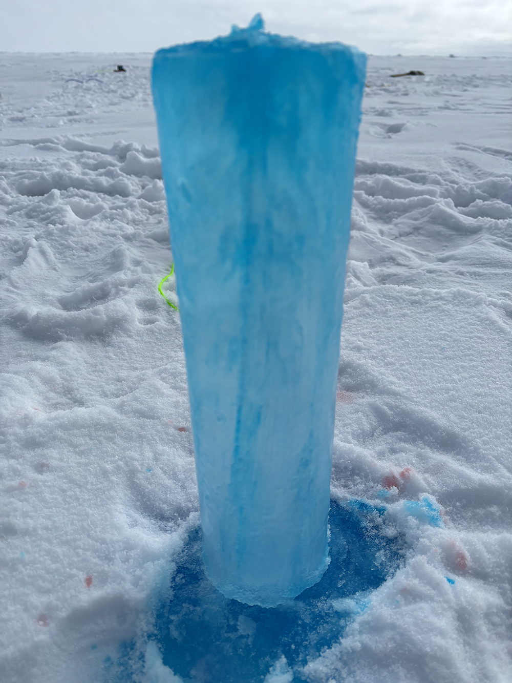 &lt;strong&gt;Figure 1.&lt;/strong&gt; Blue dye on an ice core illuminates the presence of brine inclusions, which are marked by the darker streaks. Photo courtesy of Anthony Jajeh.
