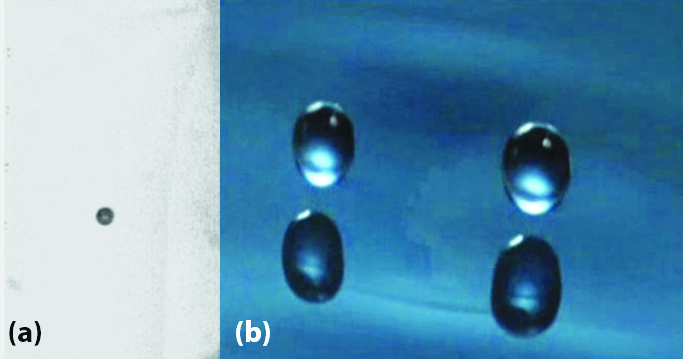 &lt;strong&gt;Figure 1.&lt;/strong&gt; A stark difference in contrast. &lt;strong&gt;1a.&lt;/strong&gt; Black ball on a white surface. &lt;strong&gt;1b.&lt;/strong&gt; Two droplets on a vibrating fluid bath, with visible reflections of the droplets on the bath. Figure 1a courtesy of [6] and 1b courtesy of [3].