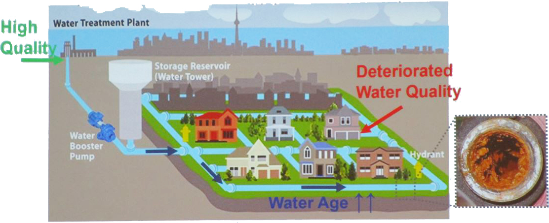 &lt;strong&gt;Figure 1.&lt;/strong&gt; The deterioration of water quality typically occurs during the distribution process (after the water has left the treatment plant) due to the presence of pathogens and other contaminants within the transport pipes. Figure courtesy of Ahmed Abokifa.